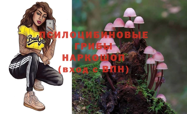 тгк Абдулино